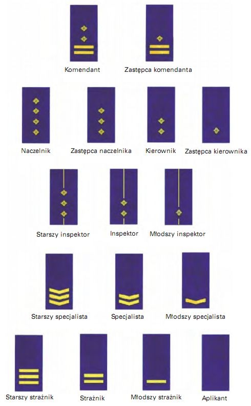 stopnie straży miejskiej - grafika