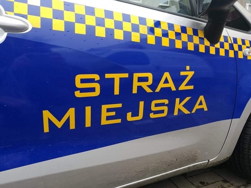 zdjęcie: Strażnicy ujęli poszukiwanego męźczyznę.