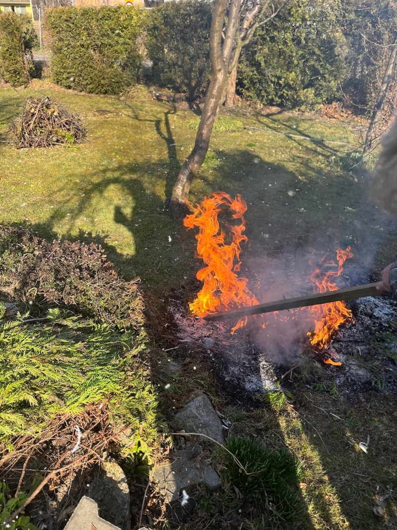 foto:  Zakaz spalania odpadów zielonych.